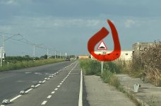 IMG_0388.jpeg