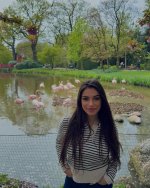IMG_0215.jpeg
