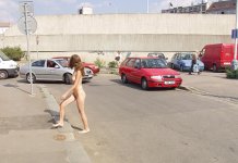 CAR (3217).jpg