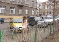 CAR (3322).jpg