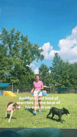 GIF_20250707_010100_972.gif