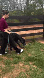 GIF_20250707_005454_476.gif
