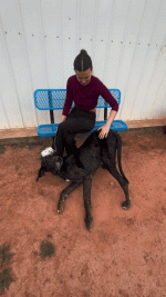 GIF_20250707_005322_756.gif