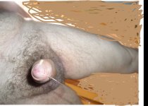 SAM_6958y.JPG