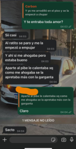 Captura de pantalla 2025-07-03 122219.png