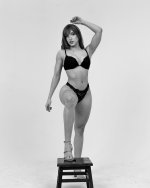 missbrisolo 352193416_506446024946875_5028801022577758549_n.jpg
