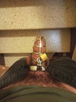 IMG_20250713_163041.jpg