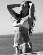 33140_gise6_123_494lo[1].jpg