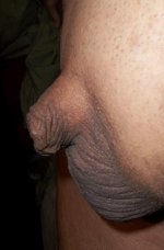 901145 (88).jpg