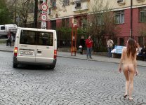 CAR (3435).jpg
