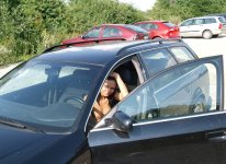 CAR (3451).jpg