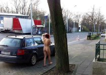 CAR (3516).jpg