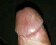 IMG_20250724_024928_808~2.jpg
