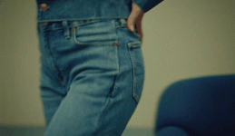 SS2.gif