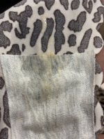 IMG_0962.jpeg