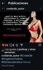 IG cvelarde_autor.png