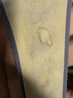IMG_0980.jpeg