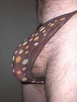 2446580_55.jpg