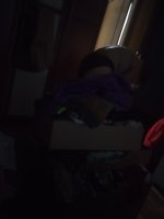 IMG_20250728_072913.jpg