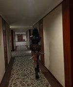 IMG_3916.jpeg