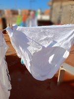 IMG_20250729_153558.jpg