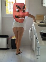 IMG_1240.jpeg