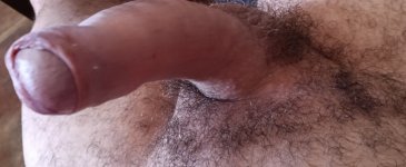 IMG20250531100237~2.jpg