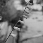 IMG_20250803_201710.jpg