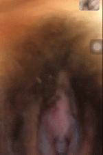 Novata.gif