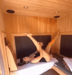 MT1.gif