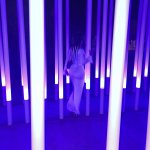 IMG_6133.jpeg