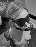6427326-bound-for-pleasure.jpg