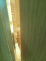 IMG_20250807_121958.jpg