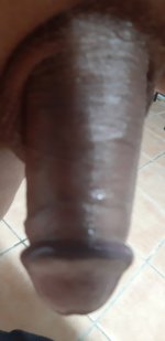 20250808_091927.jpg