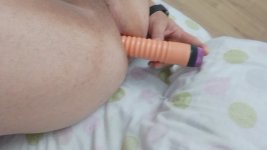 IMG-20240924-WA0157.jpeg