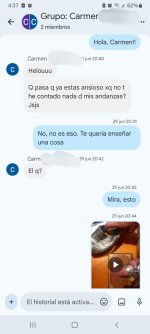 Screenshot_20250811-043705_Chat.jpg