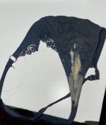 IMG_5403.jpeg