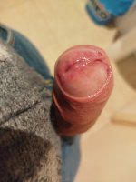 IMG_20250331_080751.jpg