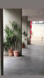 20210719_012001.gif