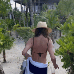 JA1.gif