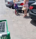 Elhilomsip1752614628085 (2) copia.jpg
