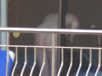 ase (23).JPG