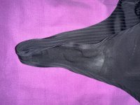 IMG_0163.jpeg