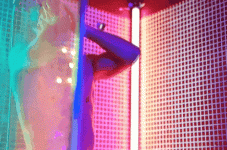 tumblr_e65cfe1b68eb3753518ad39152ab3f85_739e4025_540 (1).gif