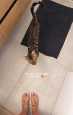 IMG_3095.jpeg