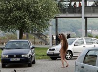 CAR (3651).jpg