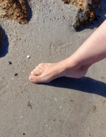 IMG-20250818-WA0010.jpg
