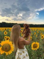 IMG_4433.jpeg