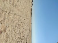 IMG_20250822_121445.jpg