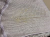 IMG_1519.jpeg